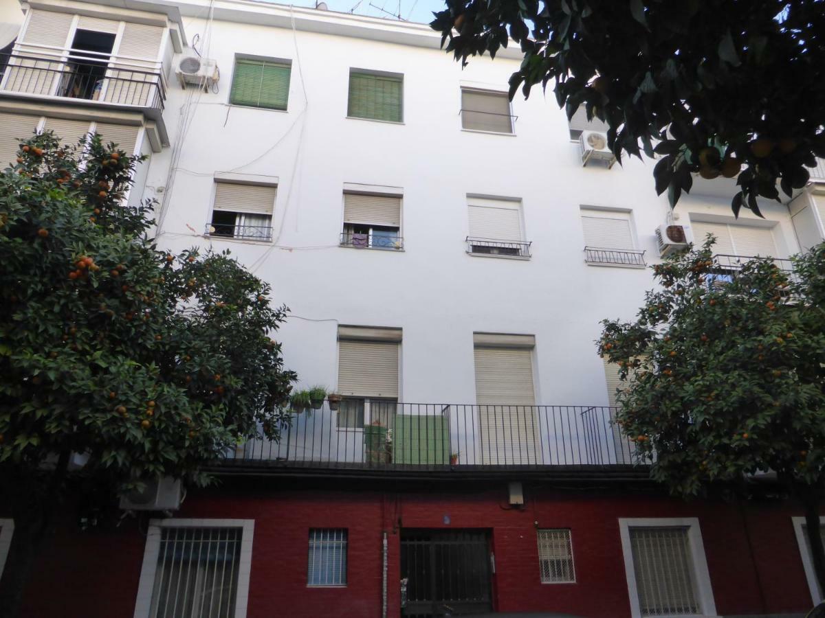 Esencia Sevilla Luaran gambar